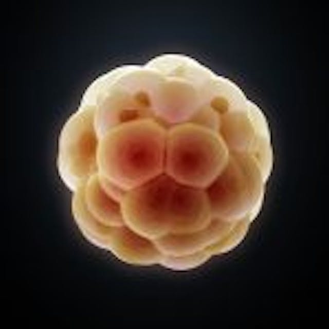40 quotes from medical experts and textbooks that prove human life begins at fertilization image