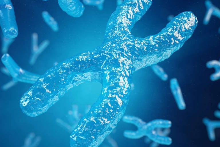 chromosome, prenatal testing