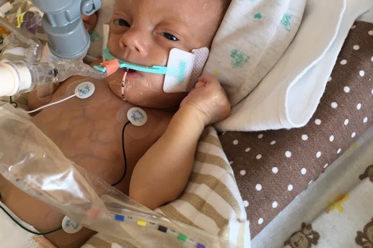 13310380_1722229628060575_2300630625838746833_n