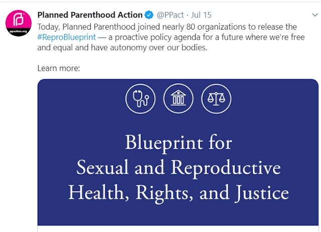 Planned Parenthood Blueprint for sexual reproductive abortion rights (Image: Twitter) Image: Planned Parenthood Blueprint for sexual reproductive abortion rights (Image: Twitter)