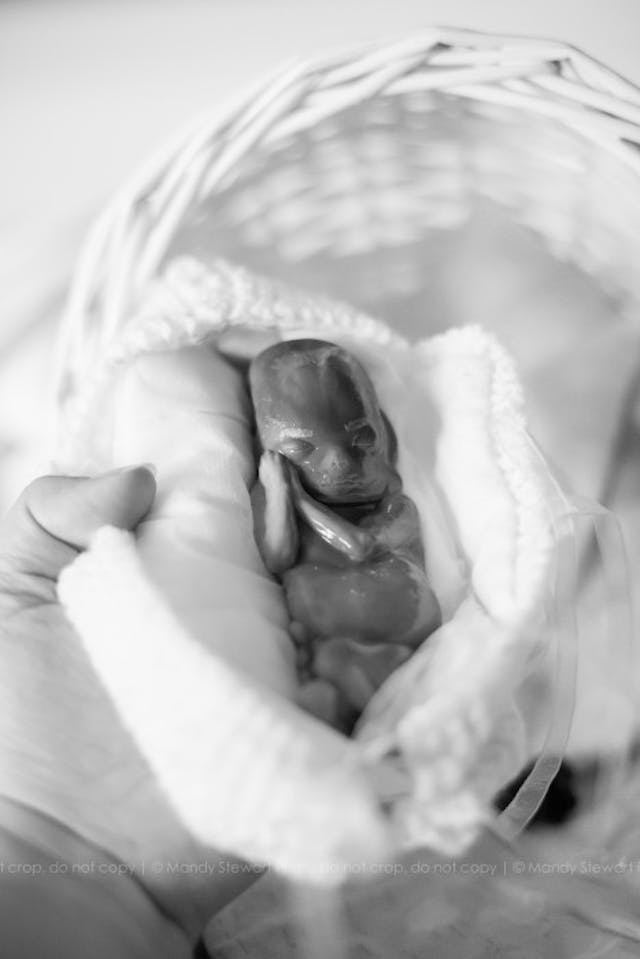 Roman Stewart. (Mandy Stewart Photography) Roman Stewart. (Mandy Stewart Photography)