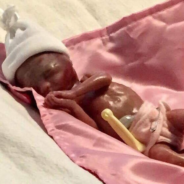 Photo via Scarlett’s Santuary Facebook. Photo via Scarlett’s Santuary Facebook.