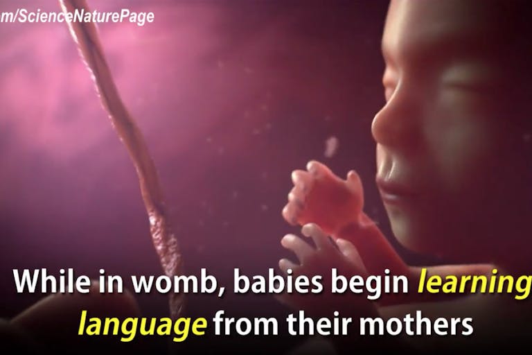 Screen Shot 2016-05-10 at 7.36.59 PM