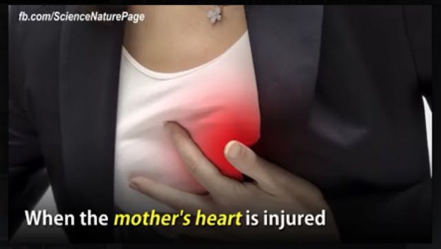 Screen Shot 2016-05-10 at 7.35.17 PM