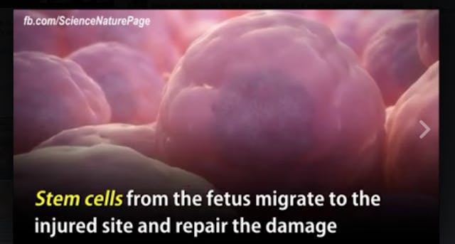 Screen Shot 2016-05-10 at 7.35.47 PM