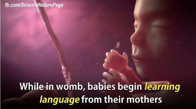 Screen Shot 2016-05-10 at 7.36.59 PM