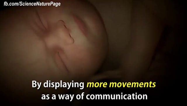 Screen Shot 2016-05-10 at 7.47.57 PM