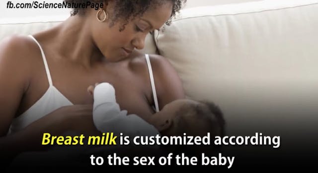 Screen Shot 2016-05-10 at 7.38.15 PM