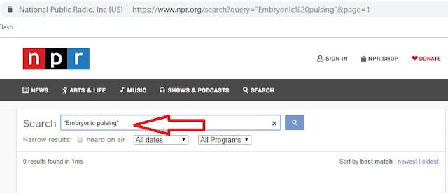 NPR embryonic pulsing zero times 6052019 Image: NPR embryonic pulsing zero times 6052019