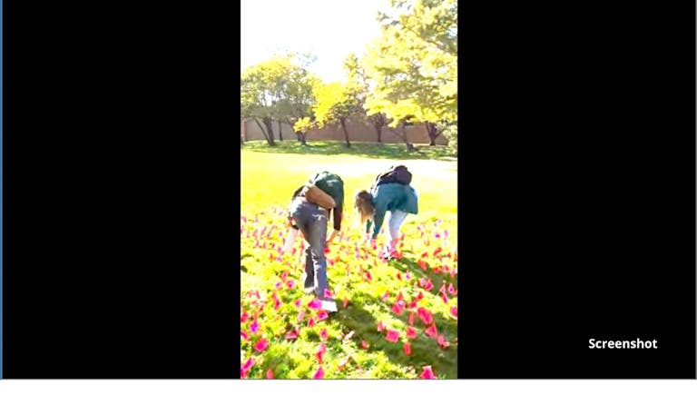 screenshot, saint louis university