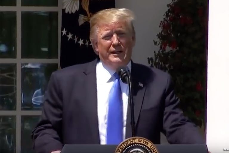 Trump, conscience rights