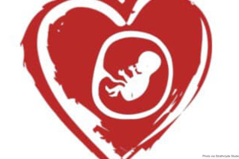 pro-life