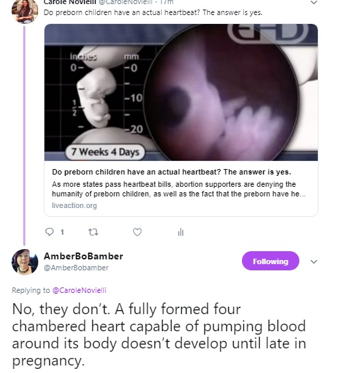 Image: Twitter post on fetal heartbeat (Image: Twitter)