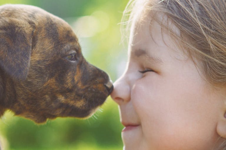 child-dog-look