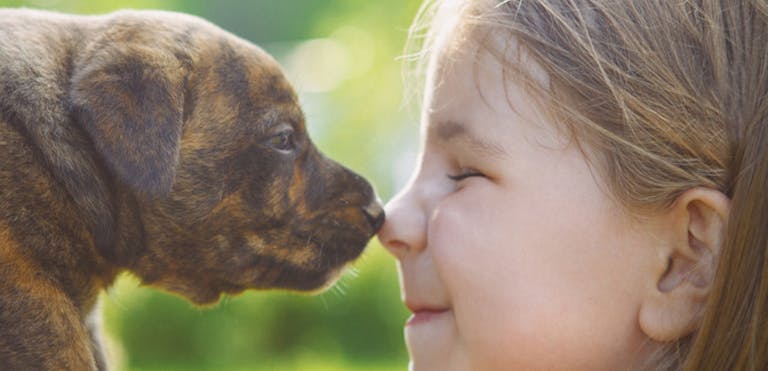 child-dog-look