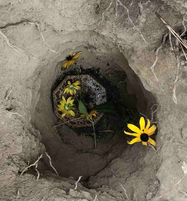 Photo courtesy of Louisa Rogers Photo courtesy of Louisa Rogers