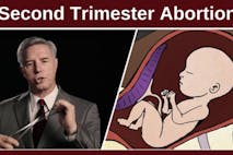 dismemberment abortion, YouTube, D&E