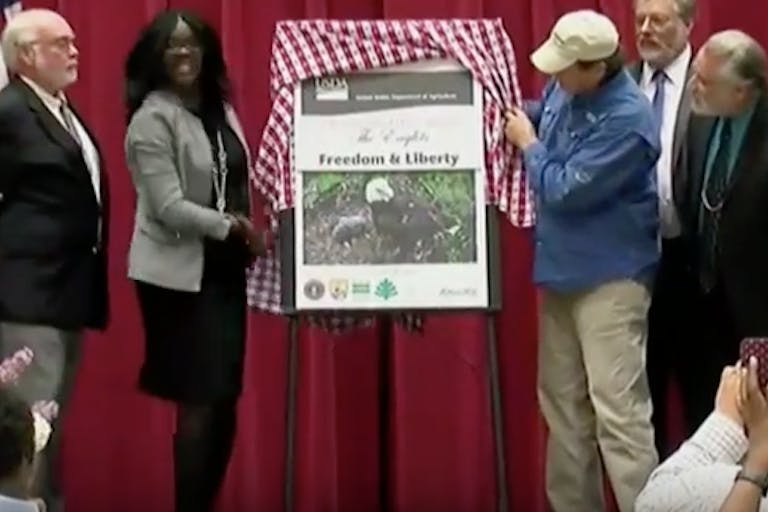 Screen Shot 2016-04-26 at 8.03.01 PM