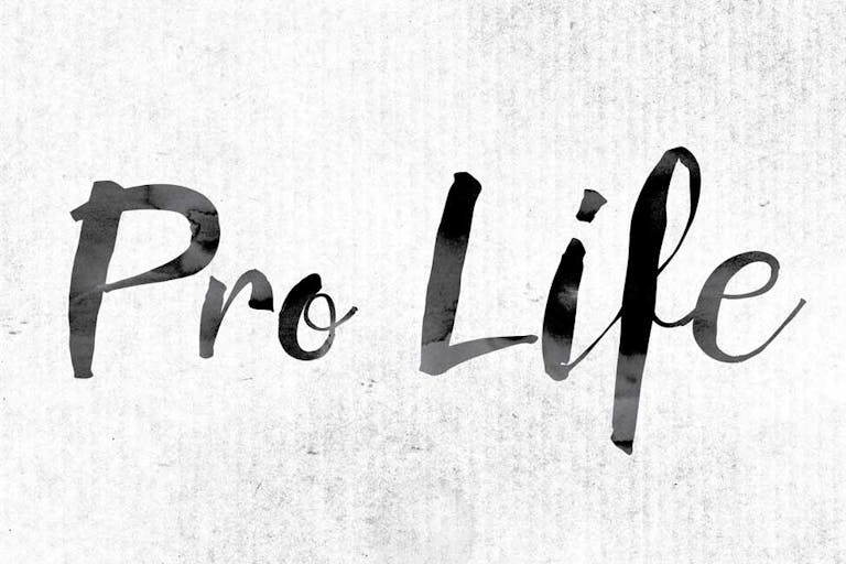 pro-life guide