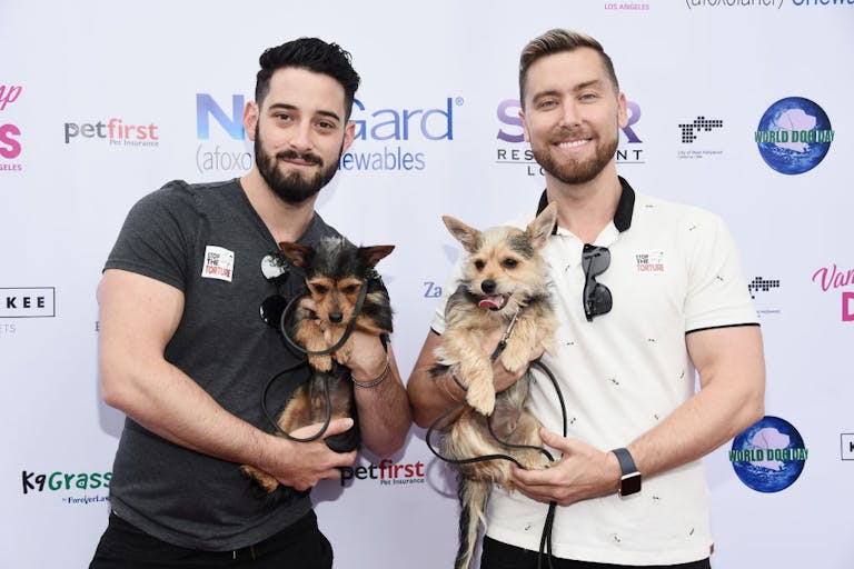 Lisa Vanderpump And The Vanderpump Dog Foundation’s 3rd Annual World Dog Day