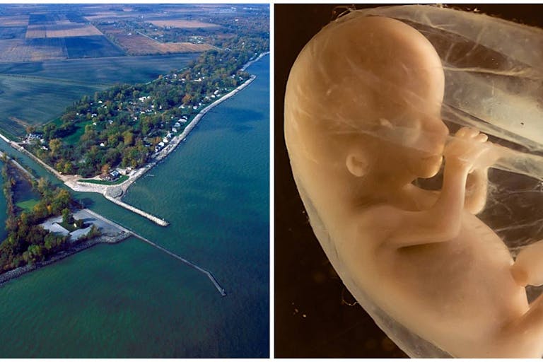 Lake Erie, preborn, Ohio