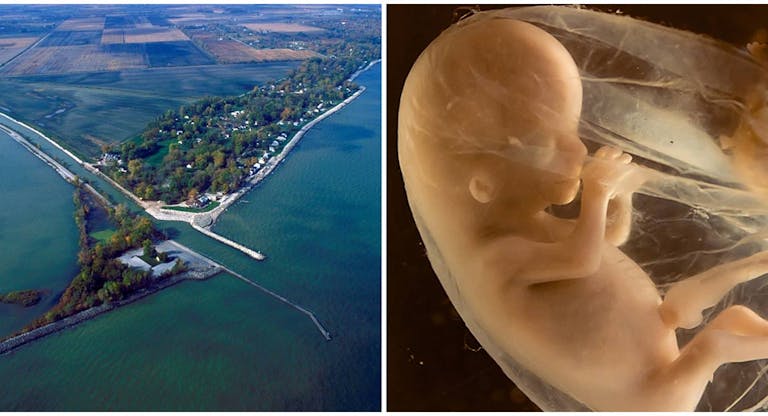 Lake Erie, preborn, Ohio