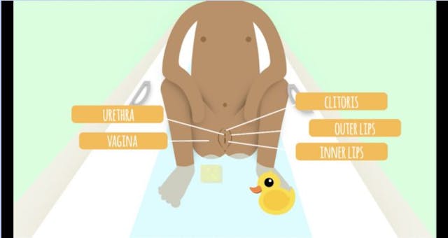AMAZE, Jr. video screenshot (meant for ages 4-9)
