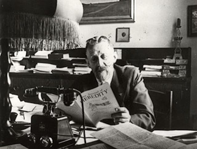 Eugen Fischer Image: Eugen Fischer