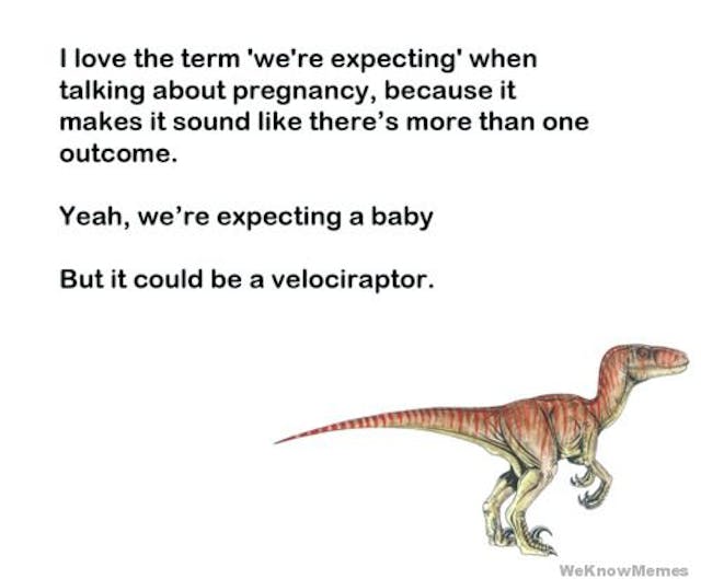 raptor meme