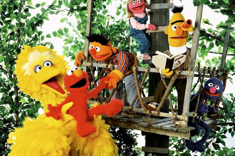 Sesame Street, Down syndrome