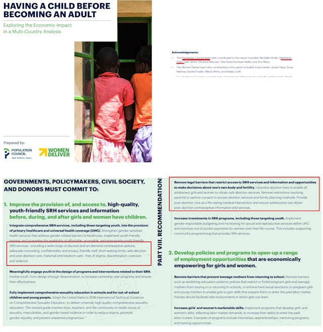 Population Council Stephanie Psaki promotes abortion and removing parental consent Image: Population Council Stephanie Psaki promotes abortion and removing parental consent