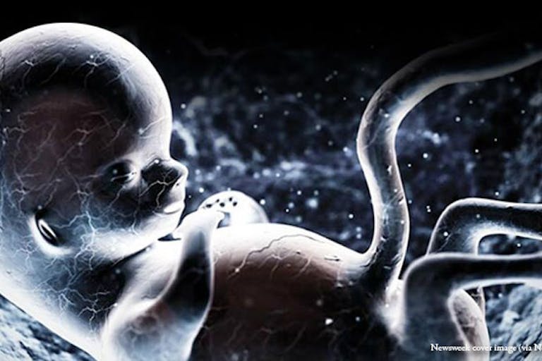 newsweek-cover-image-fetus