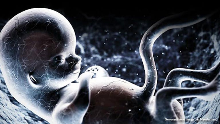 newsweek-cover-image-fetus