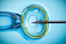 chimeras, abortion, IVF