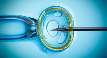 chimeras, abortion, IVF