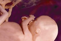 unbornbaby16w-01