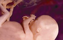unbornbaby16w-01