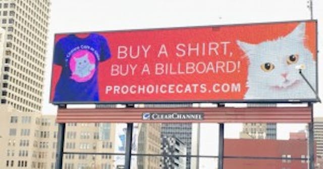 Image via prochoicecats.com