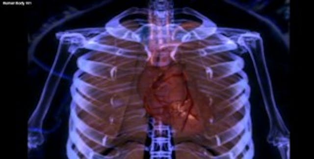 Image credit: screen grab from NatGEO video Image credit: screen grab from NatGEO video