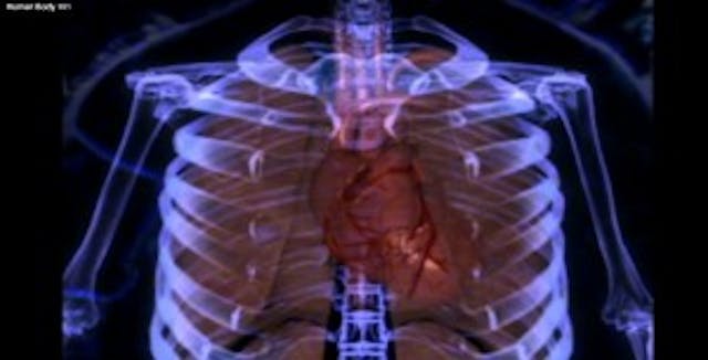 Image credit: screen grab from NatGEO video