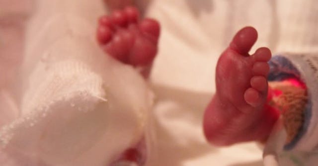 11230650_392550207600446_7438741336504423204_n