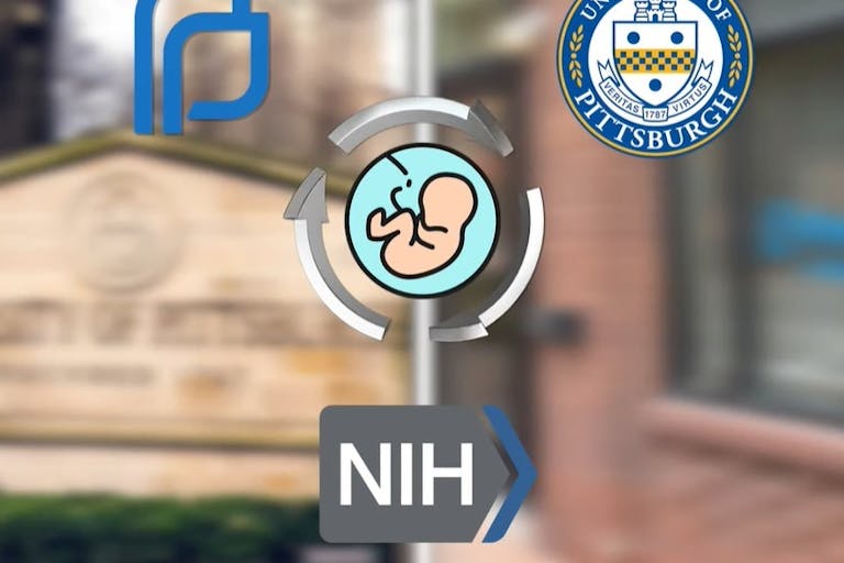 Image: University of Pittsburgh partners with Planned Parenthood for aborted fetal babies (Image: CMP)