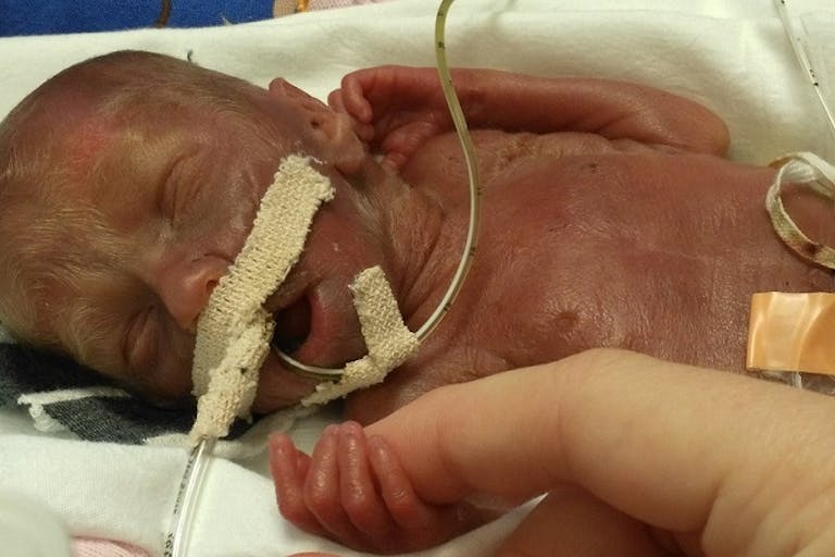 23275370_1946529185567870_3087658447369812914_o