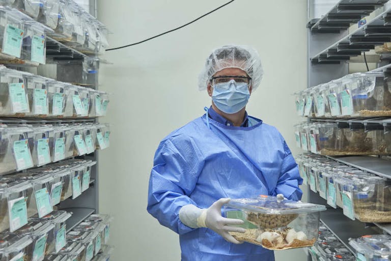 humanized mice, fetal tissue