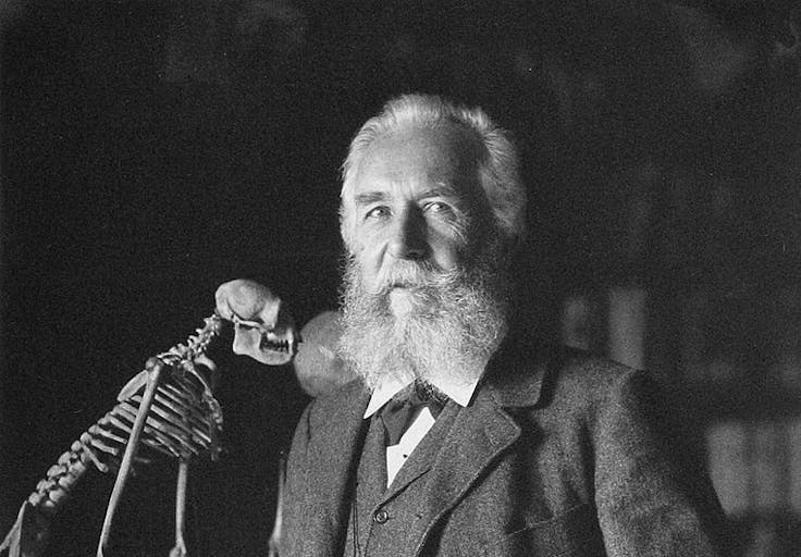 ErnstHaeckel1