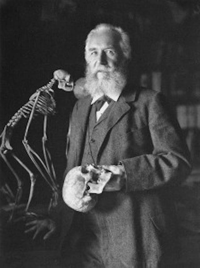 Ernst Haeckel Ernst Haeckel