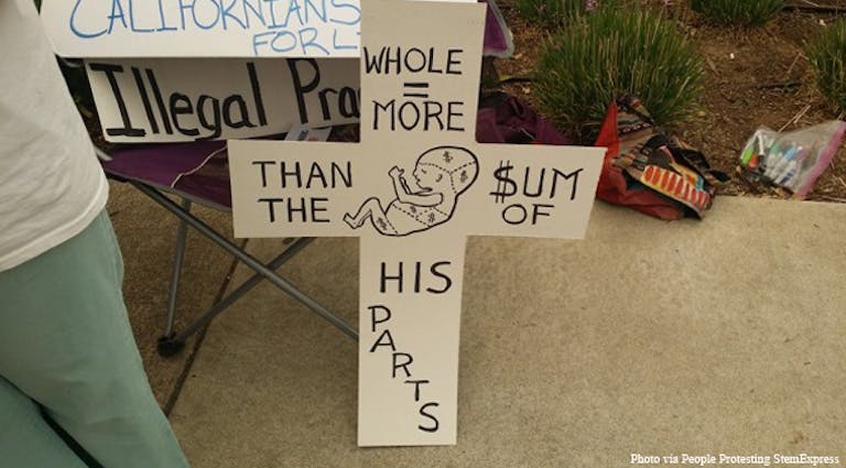 Protest-Stem-Express-672×372