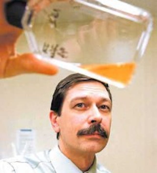 Dr. David Prentice (Photo from the Charlotte Lozier Institute) Charlotte Lozier Institute, stem cells, adult, umbilical cord blood, fetal tissue