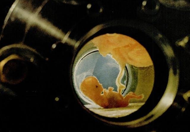 10 week old Fetus kept alive via artificial womb (Image credit: Life Magazine Sep 10, 1965) experimentation on abortion survivors