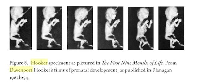 experimentation on abortion survivors